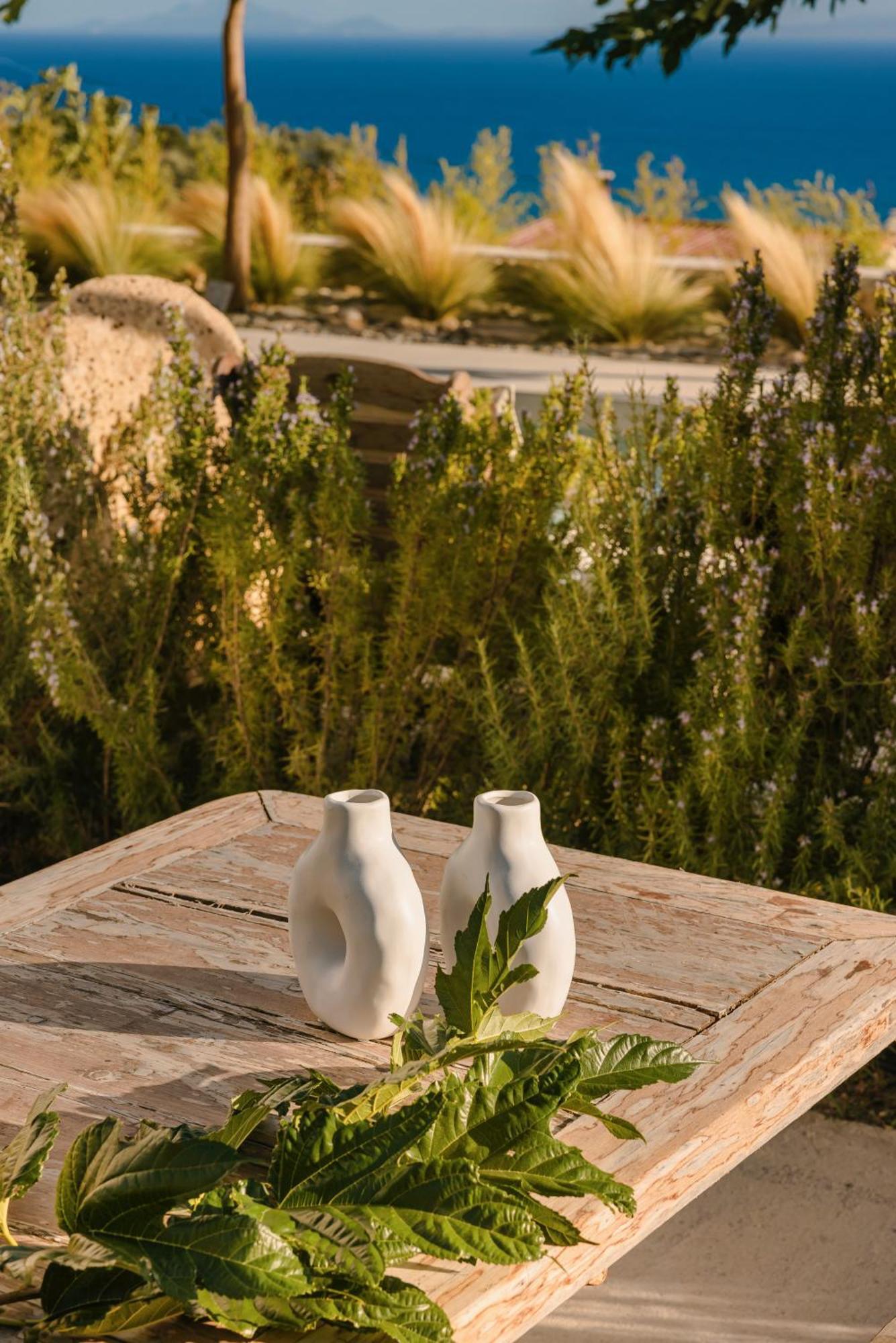 Spathes Suites Kefalonia - Luxury Suites Ratzaklíon 외부 사진