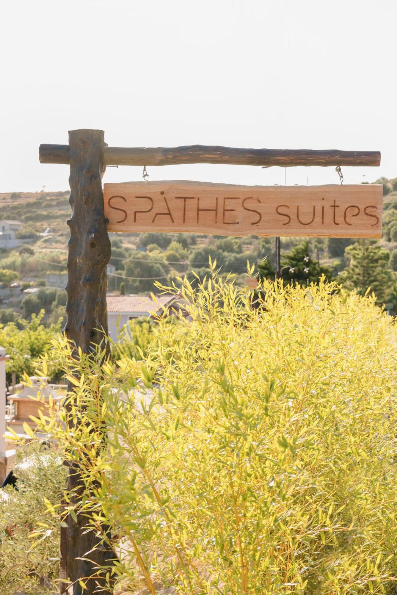 Spathes Suites Kefalonia - Luxury Suites Ratzaklíon 외부 사진